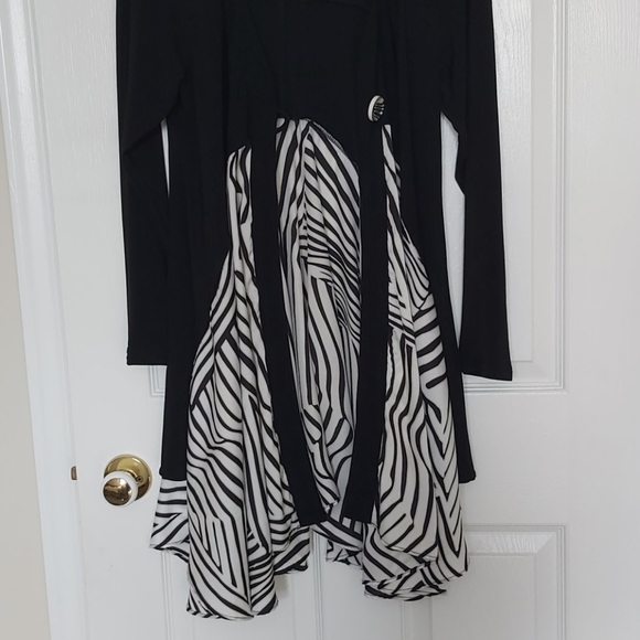 Spring Jacket - Picture 4 of 4